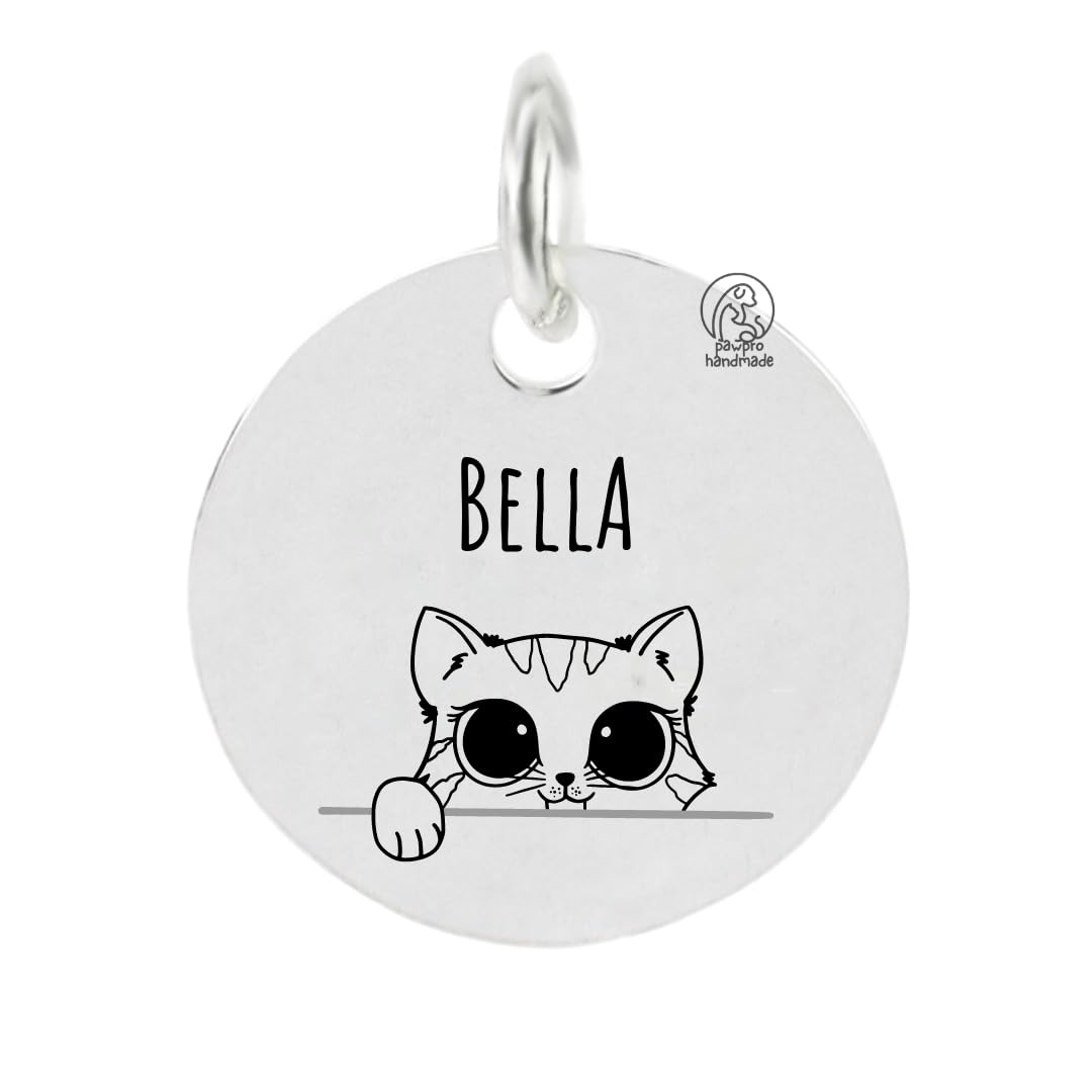 Personalized Engraved Cat Name Tag