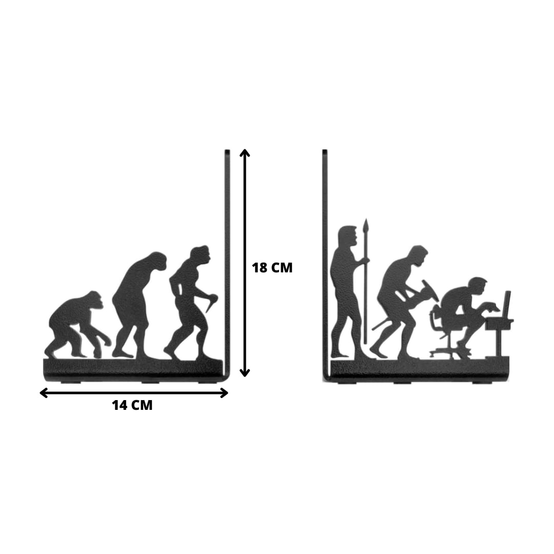 Human Evolution Bookends