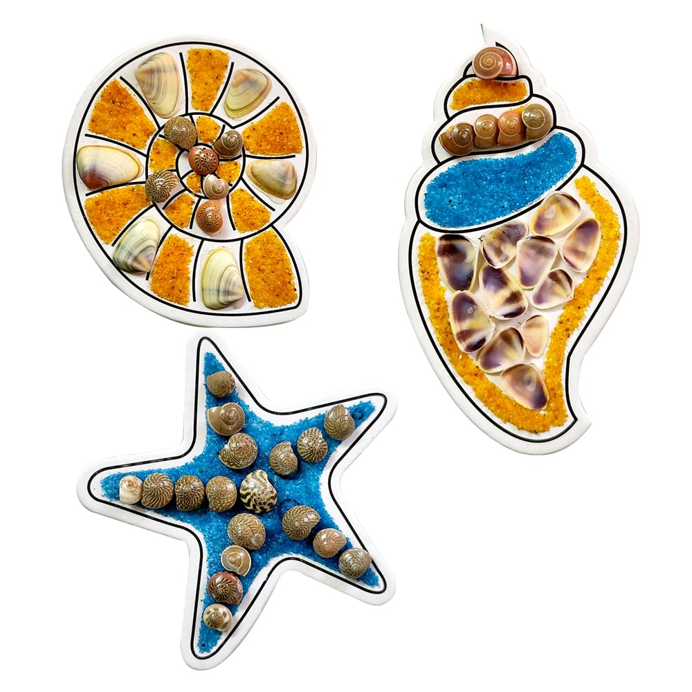 Shell Fridge Magnets| 8+ Year