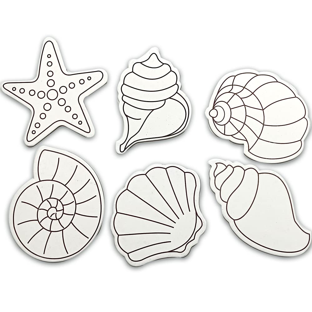 Shell Fridge Magnets| 8+ Year