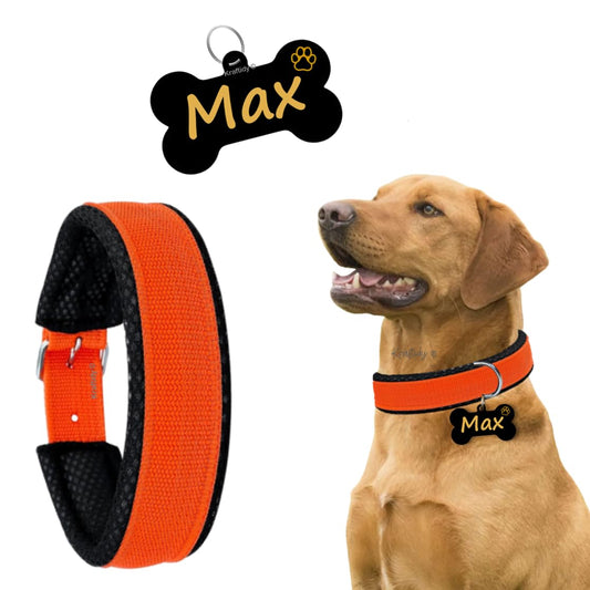 Dog Collar Belt with Name tag id