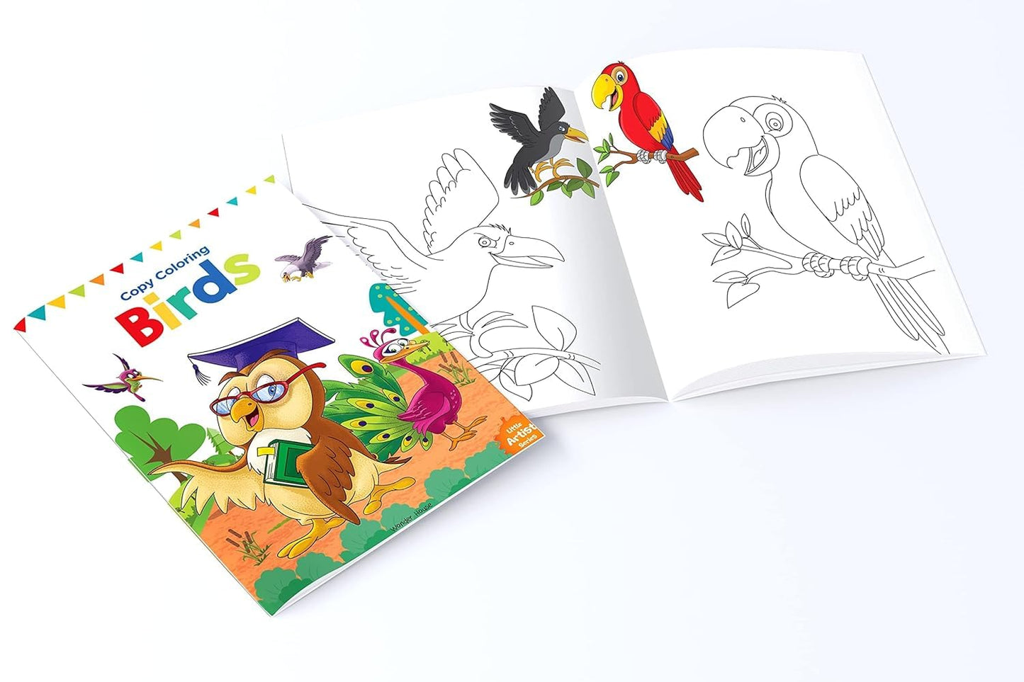 Coloring Books Pack of 12