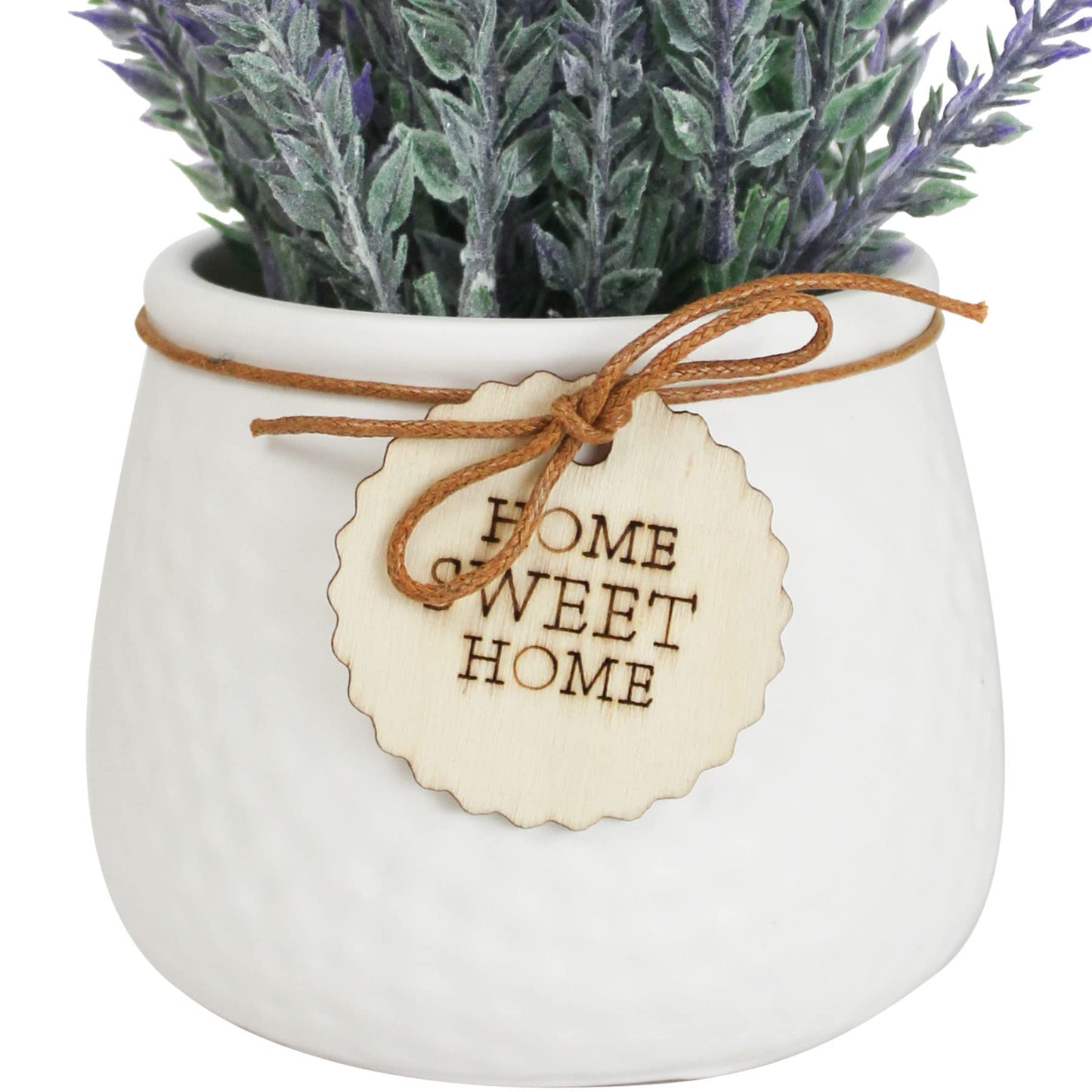 Lavender Flower Plant With Pot