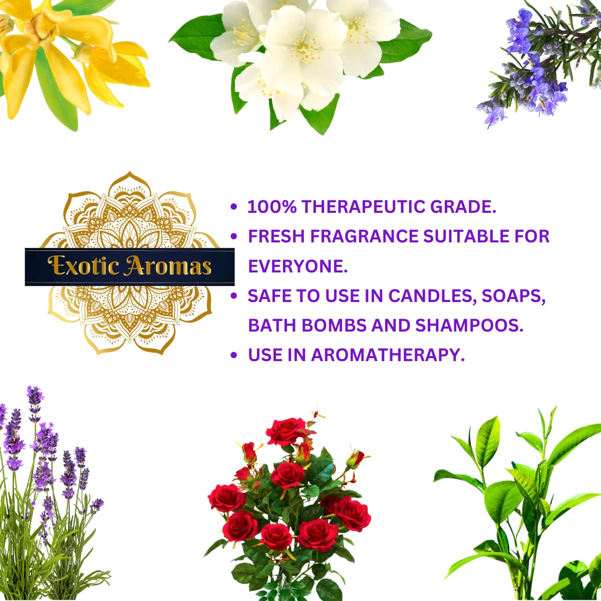 Exotic Aromas Essential Oil Set of 5