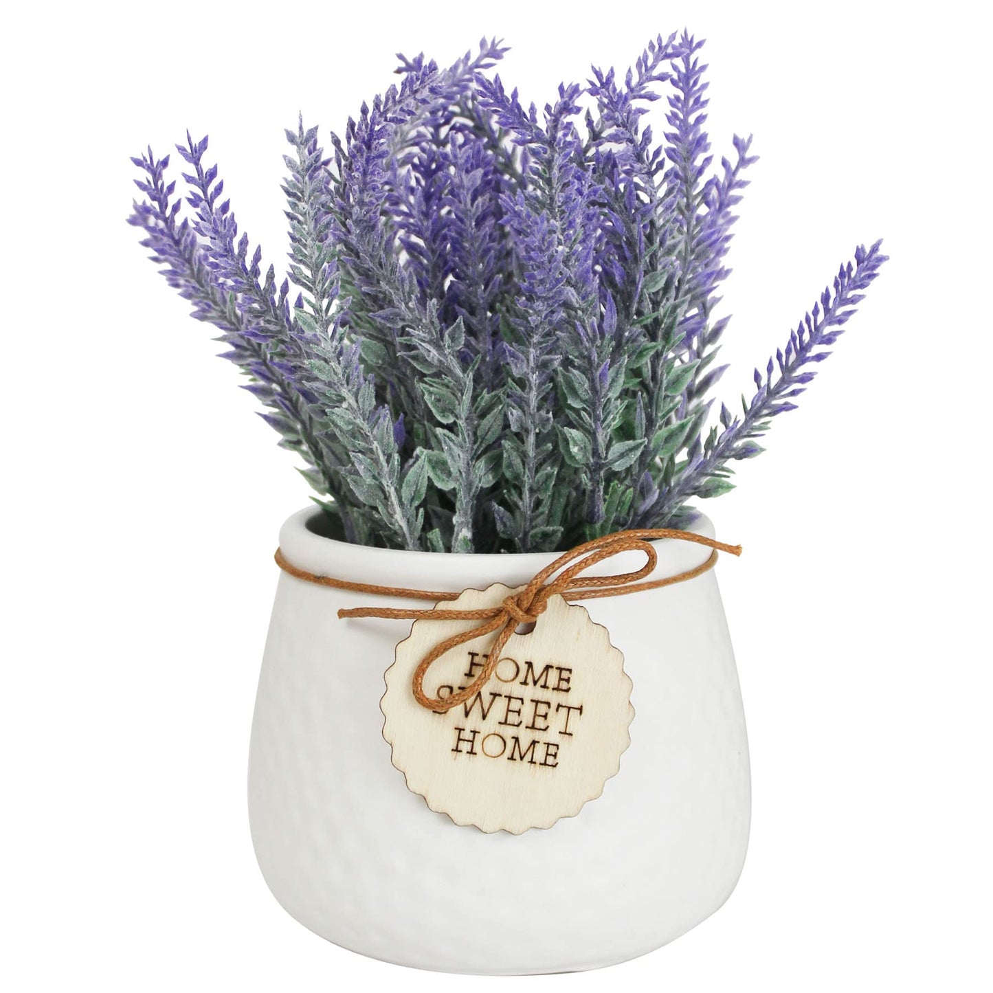 Lavender Flower Plant With Pot