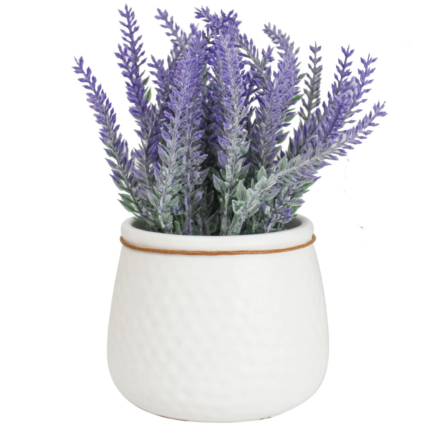 Lavender Flower Plant With Pot