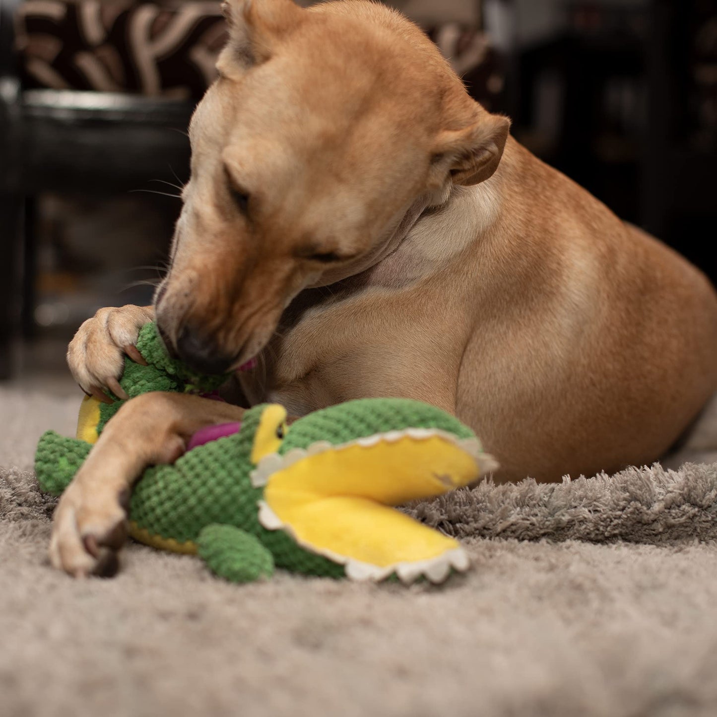 Large Green Plush Dog Toy