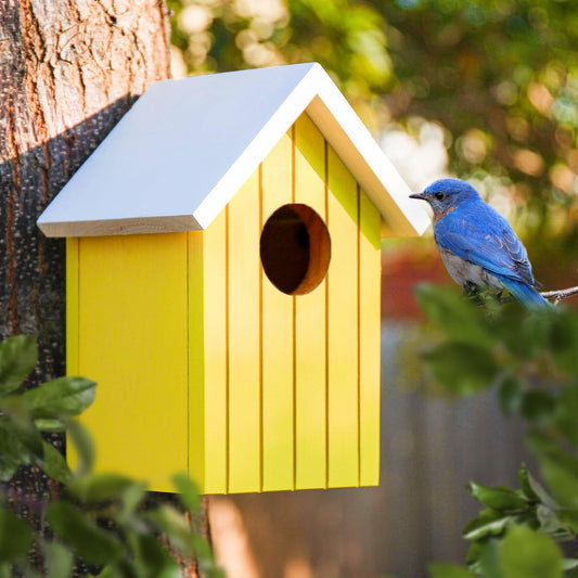 Wooden Large Bird House