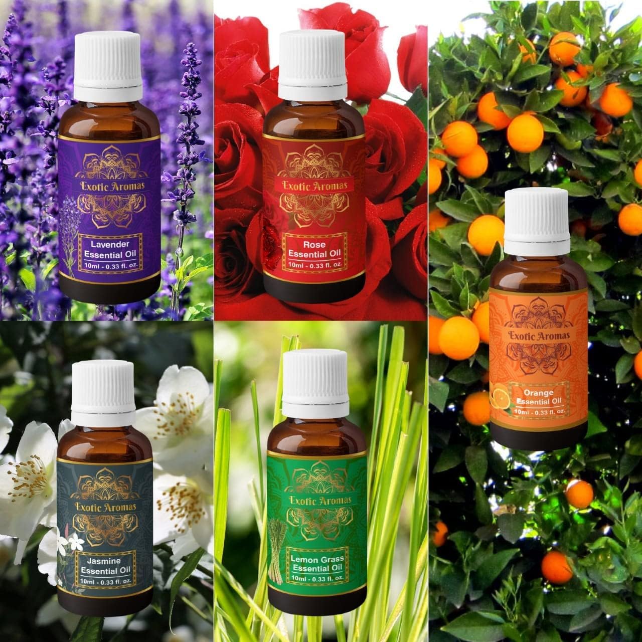 Exotic Aromas Essential Oil Set of 5