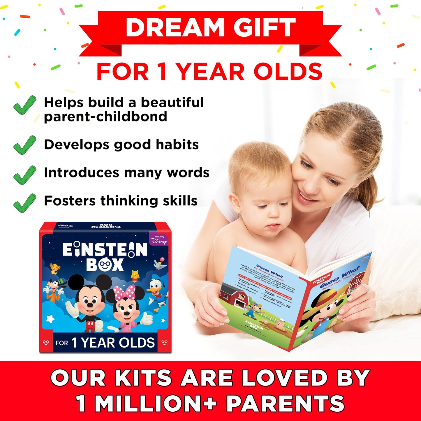 Einstein Box| 1-Year